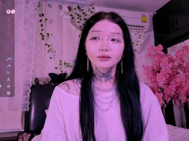 Leinbone webcam