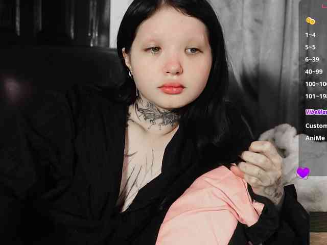 Leinbone webcam