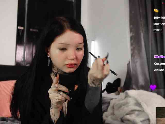 Leinbone webcam