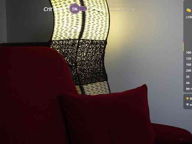Leinbone webcam