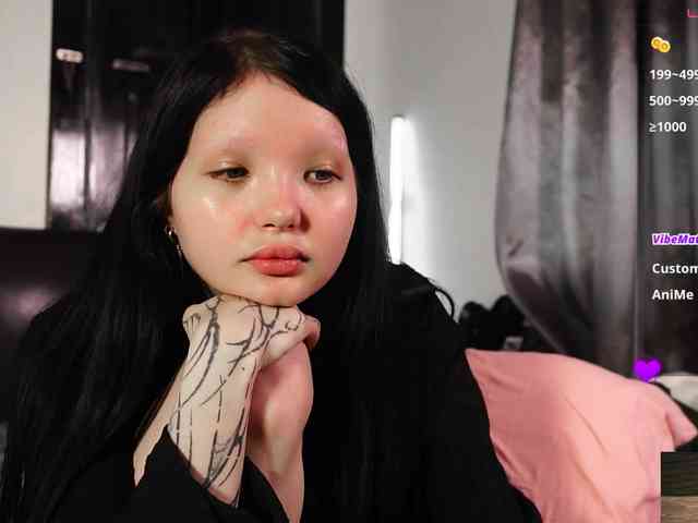 Leinbone webcam