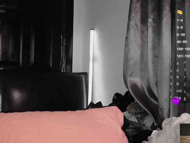 Leinbone webcam