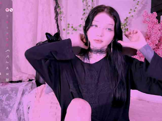 Leinbone webcam