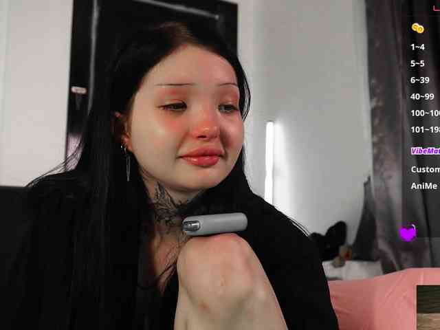Leinbone webcam