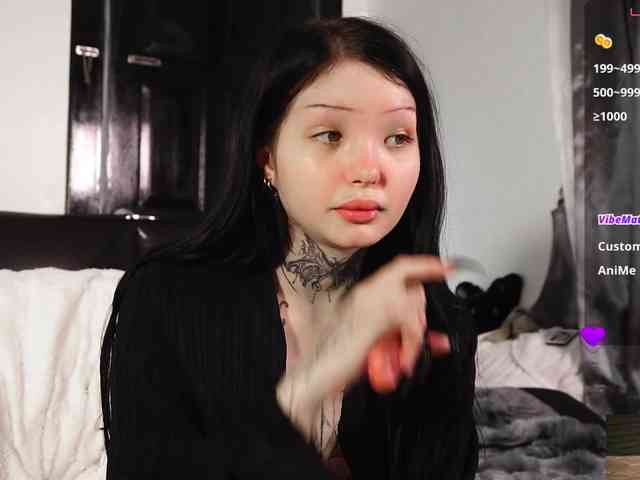 Leinbone webcam