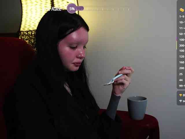 Leinbone webcam