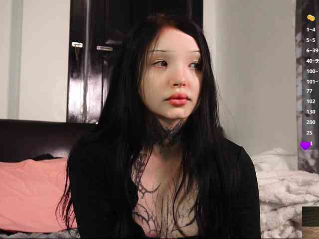 Leinbone webcam