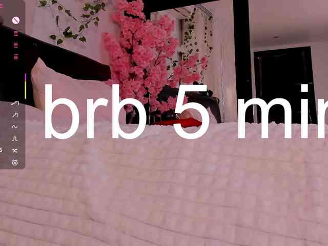 Leinbone webcam
