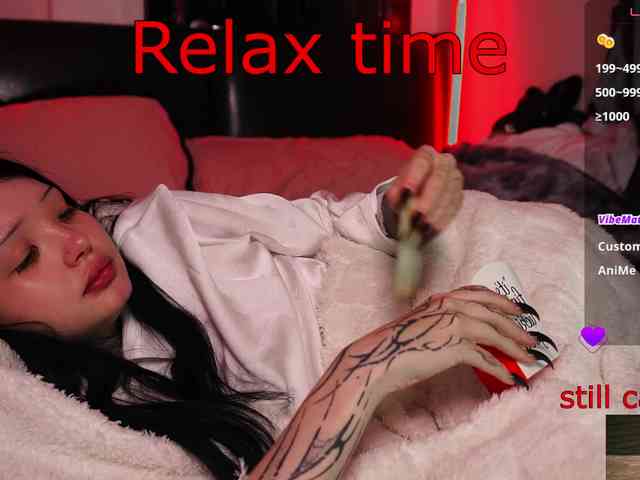 Leinbone webcam