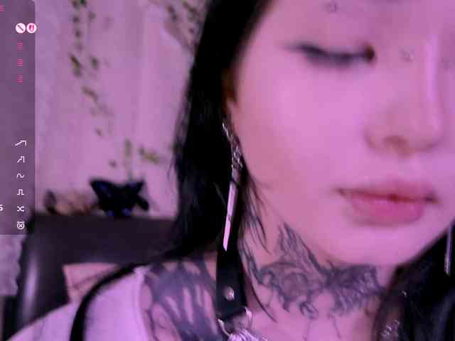 Leinbone webcam