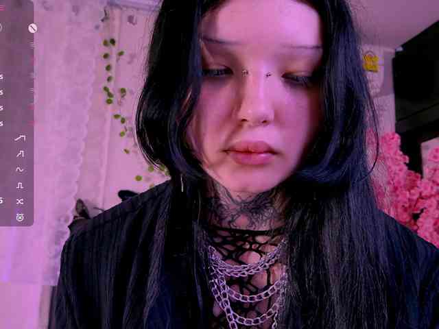 Leinbone webcam