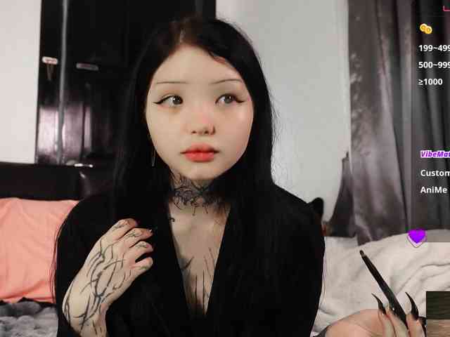 Leinbone webcam