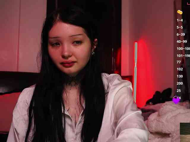 Leinbone webcam