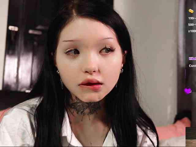 Leinbone webcam