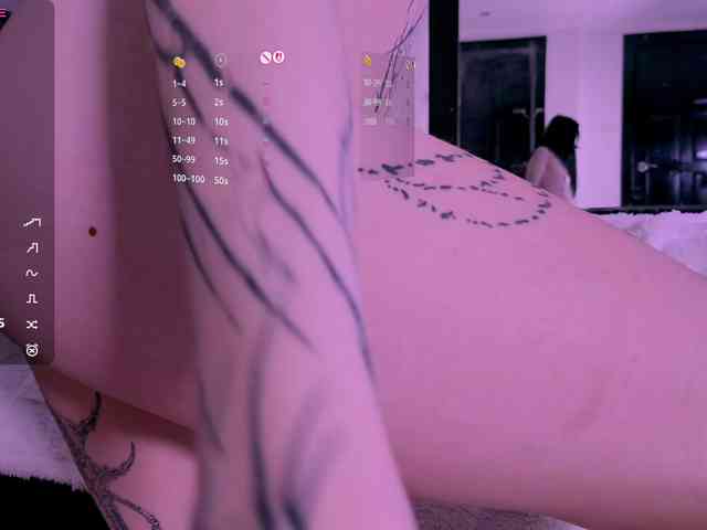 Leinbone webcam
