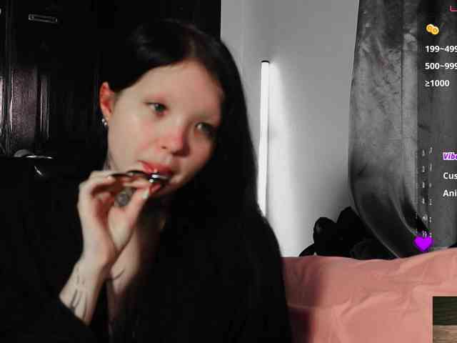 Leinbone webcam