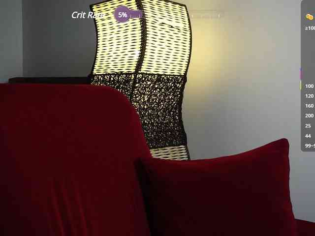 Leinbone webcam