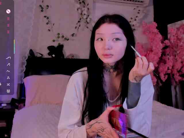 Leinbone webcam