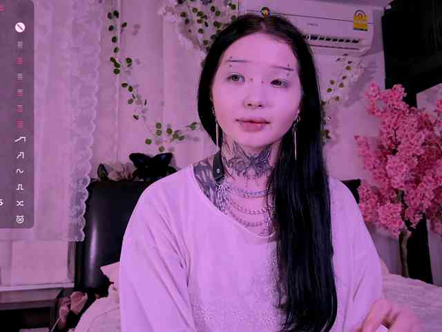 Leinbone webcam