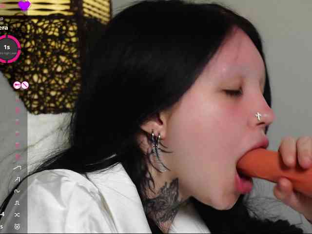 Leinbone webcam