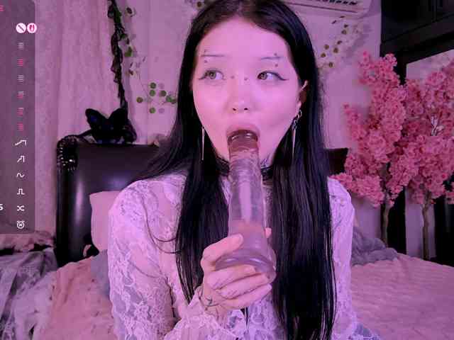 Leinbone webcam