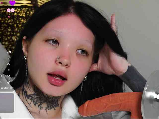Leinbone webcam