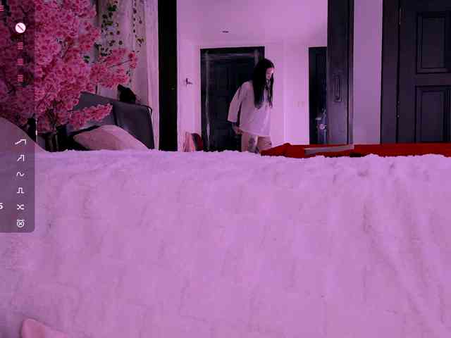 Leinbone webcam