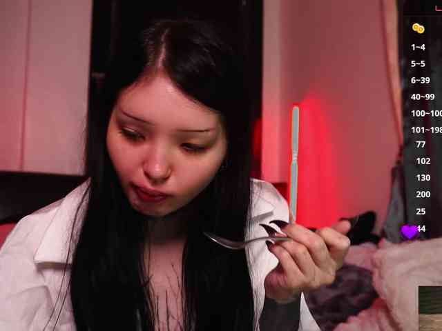 Leinbone webcam