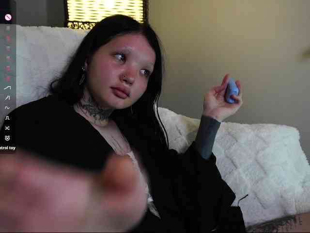 Leinbone webcam
