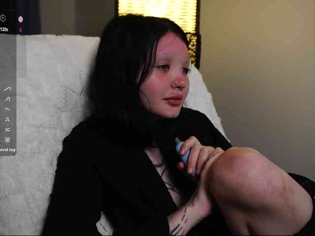 Leinbone webcam