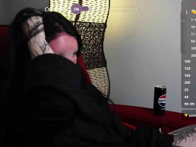 Leinbone webcam