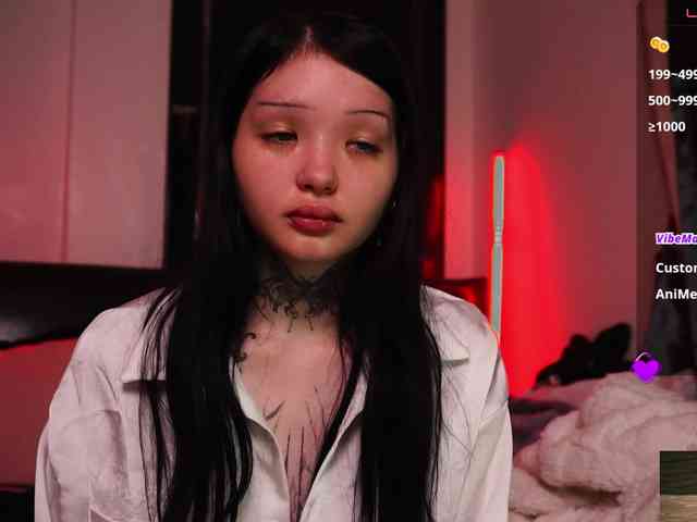 Leinbone webcam