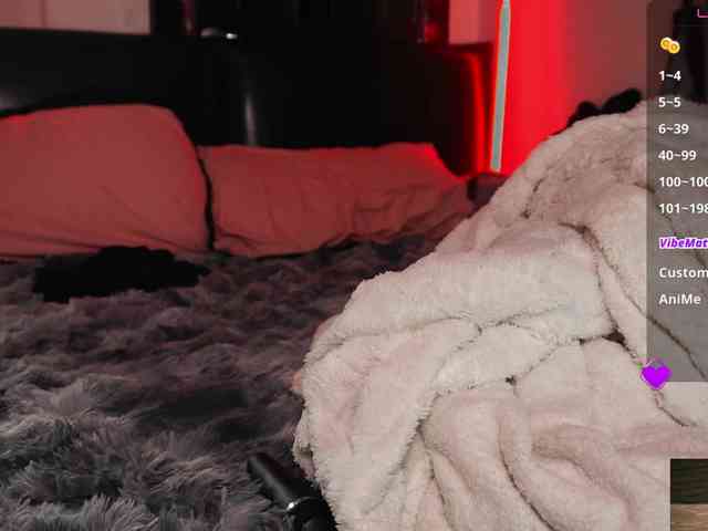 Leinbone webcam