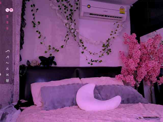 Leinbone webcam
