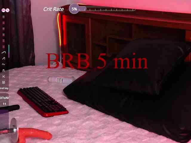 Leinbone webcam