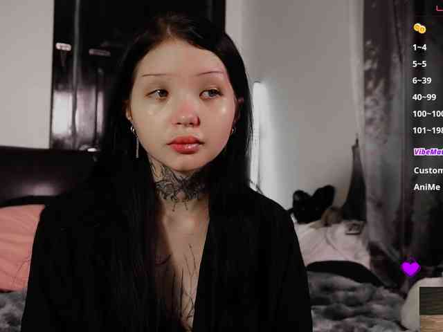 Leinbone webcam