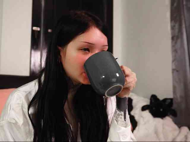 Leinbone webcam