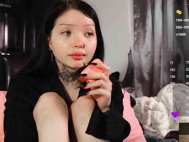 Leinbone webcam