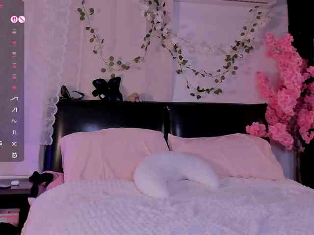 Leinbone webcam