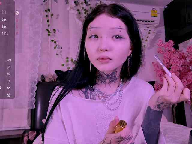 Leinbone webcam