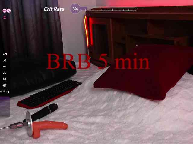 Leinbone webcam