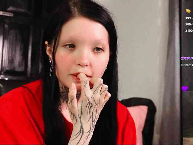 Leinbone webcam