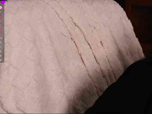 Leinbone webcam