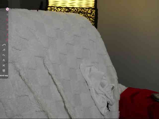Leinbone webcam