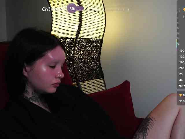 Leinbone webcam