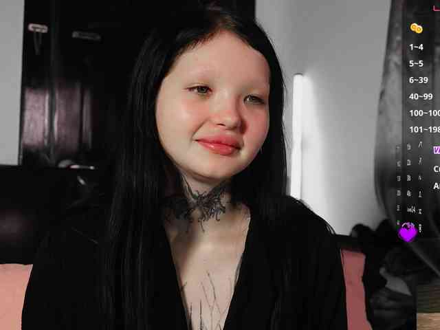Leinbone webcam