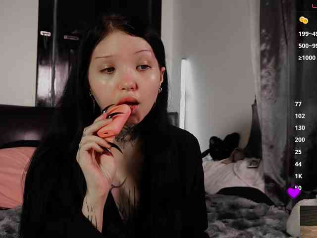 Leinbone webcam