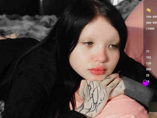 Leinbone webcam