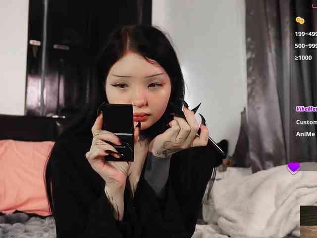 Leinbone webcam