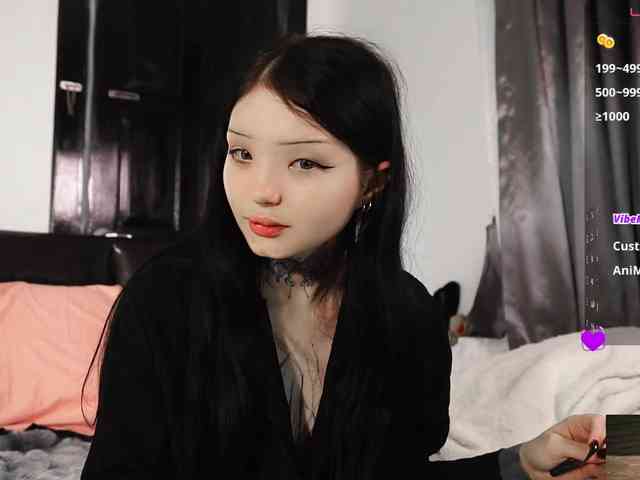 Leinbone webcam